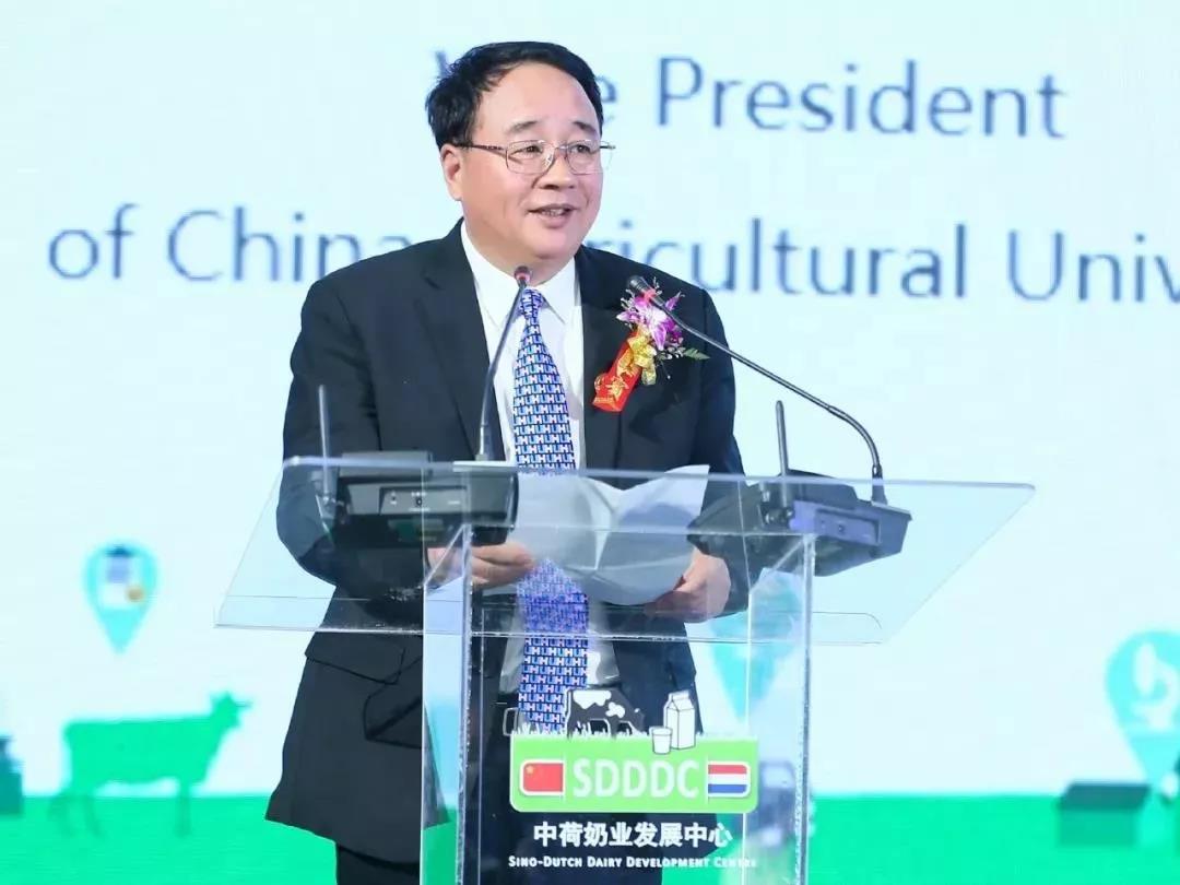 SDDDC走進(jìn)河南，看看花花牛的國際范兒！