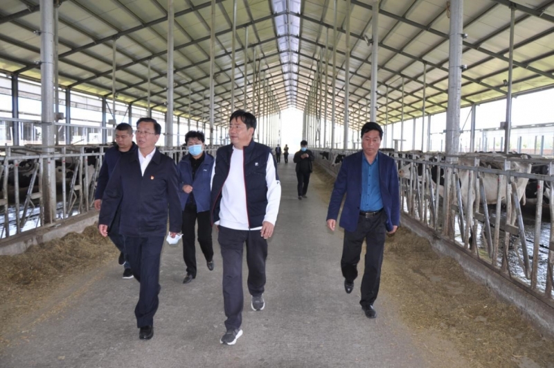 商丘市委常委、宣傳部部長(zhǎng)王全周一行蒞臨睢縣瑞亞牧業(yè)有限公司調(diào)研
