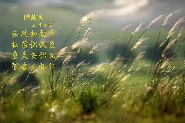 花花牛 | 疾風(fēng)來臨，你是不是勁草？